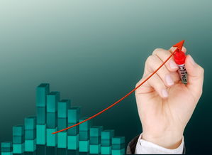 乐鱼官网优惠-意甲青训项目引入情绪管理提升抗压能力研究，意甲青训排名